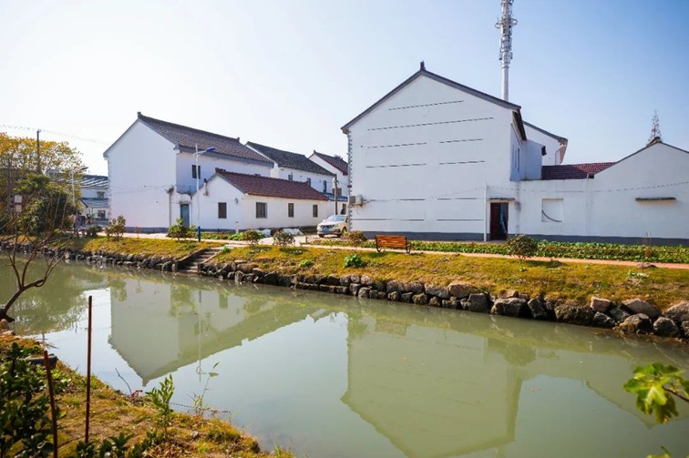 江南春景水一半,12处小流域绘青浦生态美域 江南春景水一半,12处小流域绘青浦生态美域