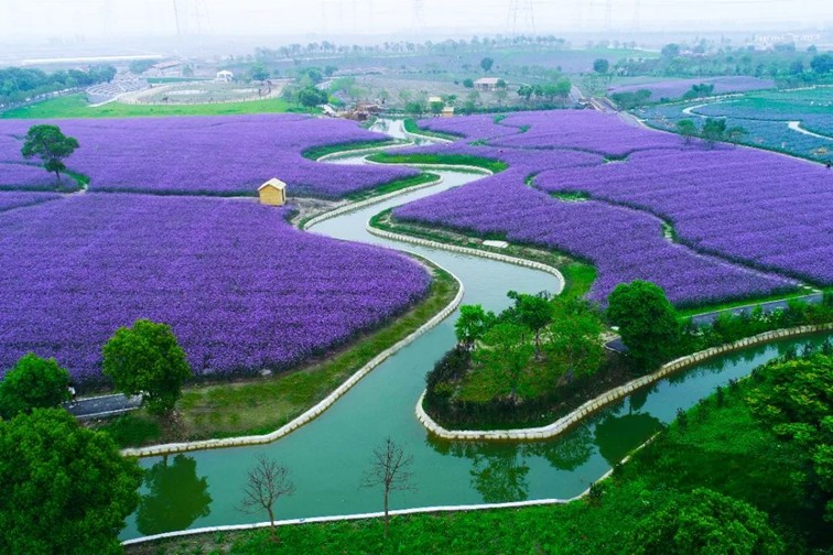 江南春景水一半,12处小流域绘青浦生态美域 江南春景水一半,12处小流域绘青浦生态美域