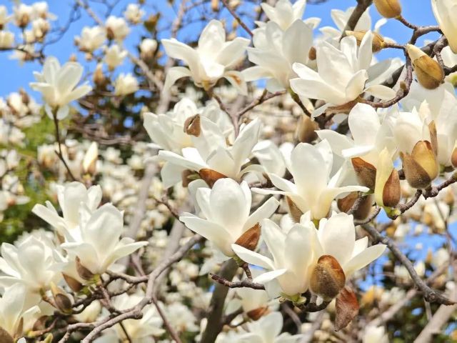 0317_160500_132.jpg 微信图片_2025-03-17_132245_767.jpg