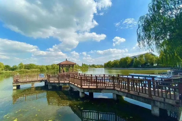 江南梅花季丨“梅”美与共!住在青浦花影中,盼君缓缓归矣 江南梅花季丨“梅”美与共!住在青浦花影中,盼君缓缓归矣