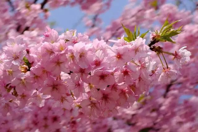 0324_143652_149.jpg 微信图片_2025-03-24_121515_305.jpg