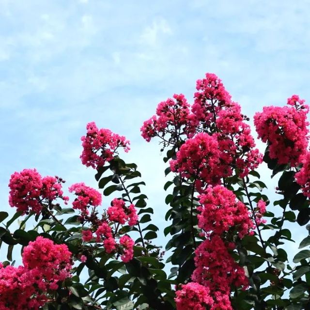 0830_141425_839.jpg 640.jpg