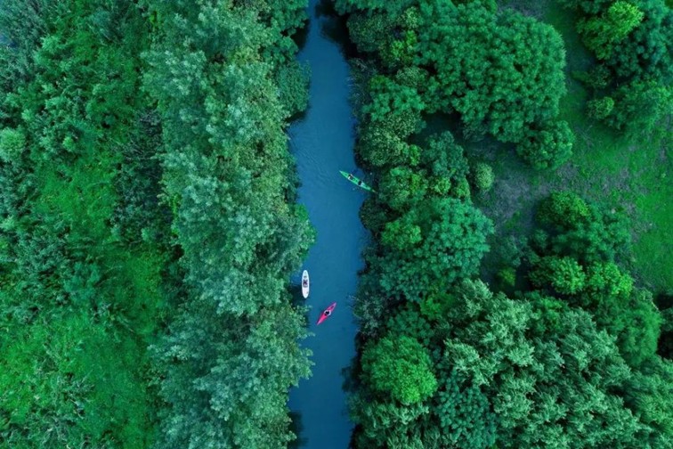 随着镜头中的涟漪,在水韵流转中感受青浦水美乡村 随着镜头中的涟漪,在水韵流转中感受青浦水美乡村