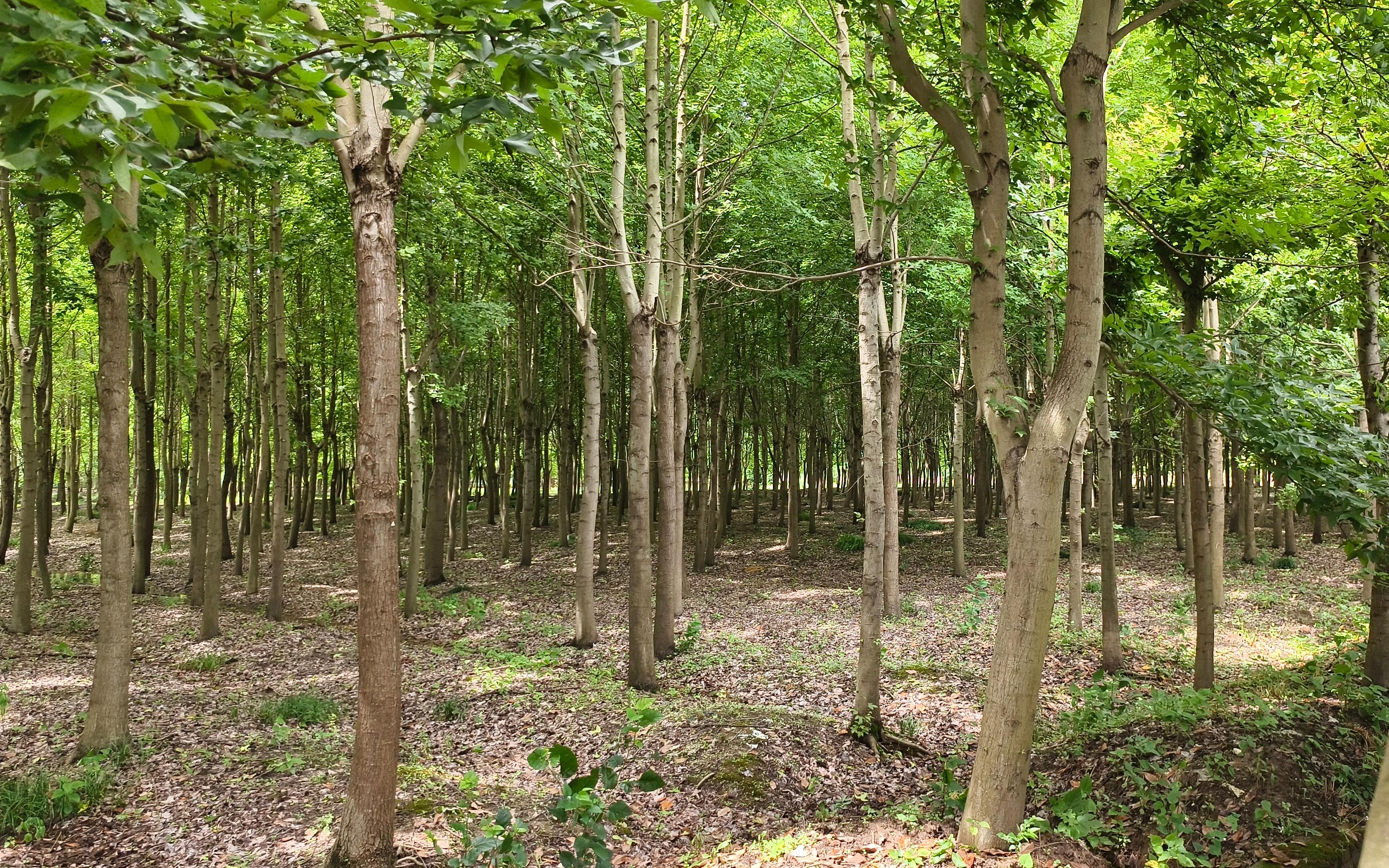 e930c481e0462f35d7debeb16547e40.jpg e930c481e0462f35d7debeb16547e40.jpg