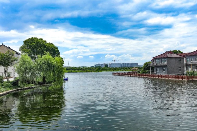 江南春景水一半,12处小流域绘青浦生态美域 江南春景水一半,12处小流域绘青浦生态美域