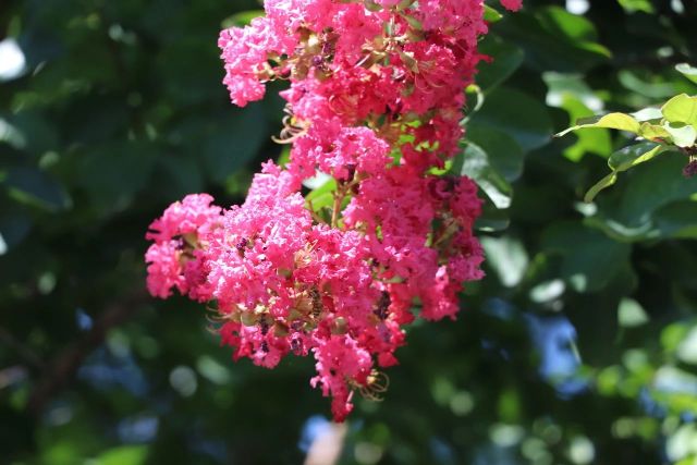 0830_141216_854.jpg 微信图片_20240830095850.jpg