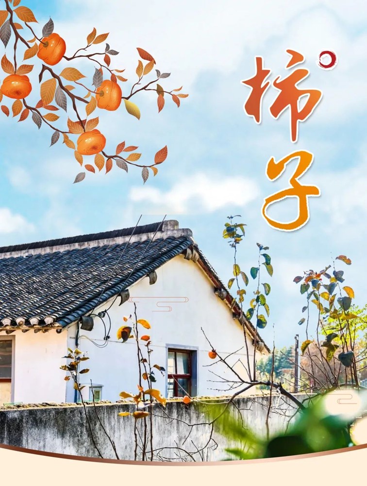 柿子熟了,快来青浦邂逅最“甜蜜”的秋!再不来就要等一年了! 柿子熟了,快来青浦邂逅最“甜蜜”的秋!再不来就要等一年了!