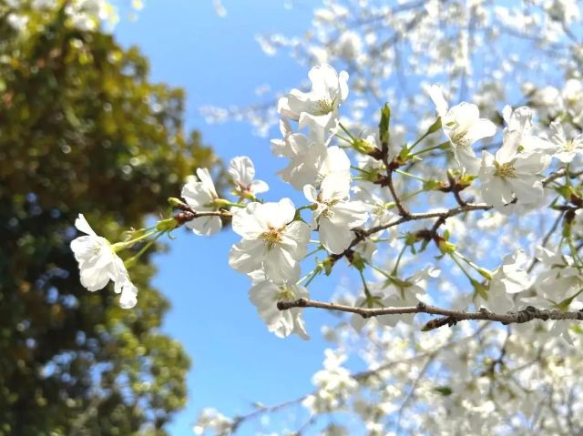 0324_143618_230.jpg 微信图片_2025-03-24_121457_899.jpg