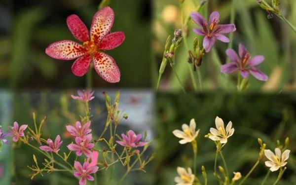 IMG_1713-2 拷贝.jpg IMG_1713-2 拷贝.jpg